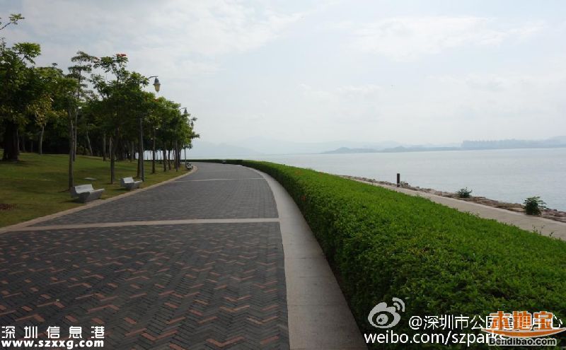 深圳灣公園人車混行怎么治？或增建7座橋
