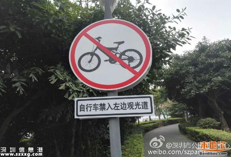 深圳灣公園人車混行怎么治？或增建7座橋