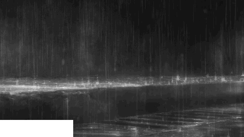 深圳開(kāi)啟雨天模式 接下來(lái)10天都有雨