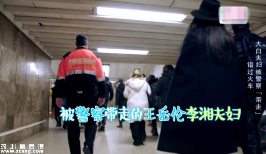 李湘被警察帶走 語言不通當場就懵圈網友稱真不容易