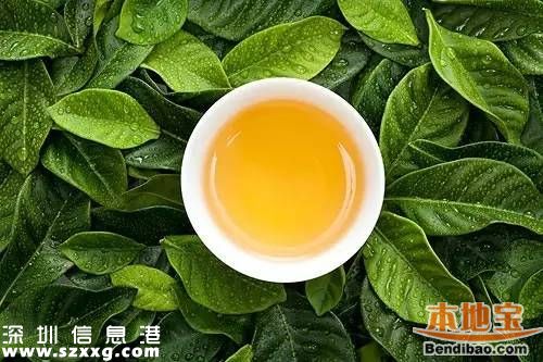 2016深圳茶博會(huì)21日于體育館開幕 持續(xù)到25日 