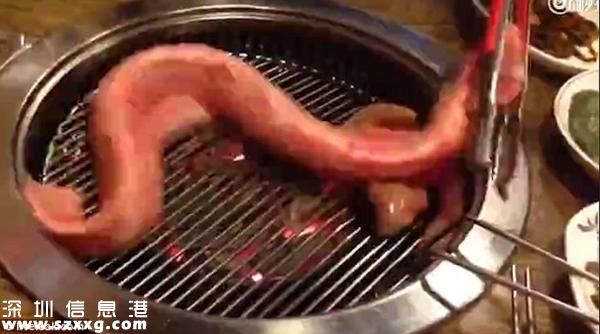 韓國餐廳烤活鰻魚 太殘忍嚇壞網(wǎng)友(圖)