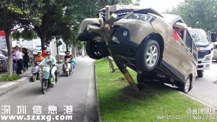新手司機(jī)將車開上樹 新手開車十大禁忌