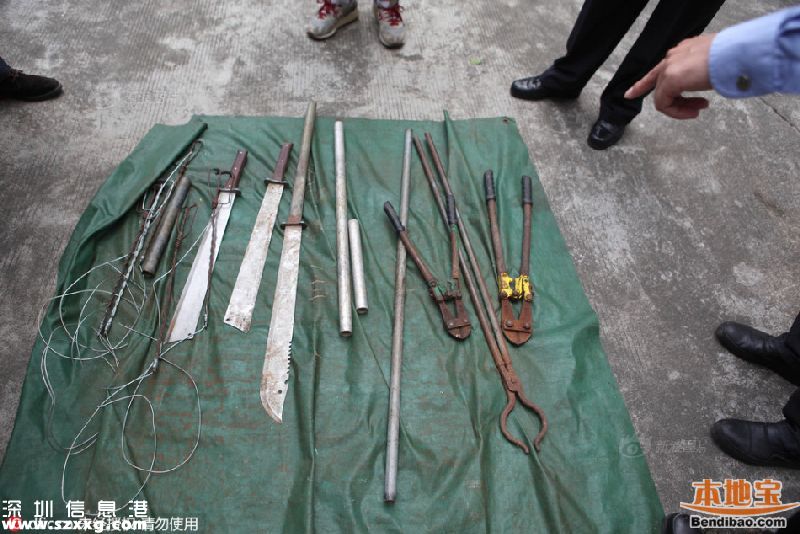 深圳偷狗賊殘忍手段令人發(fā)指 警方鳴槍示警