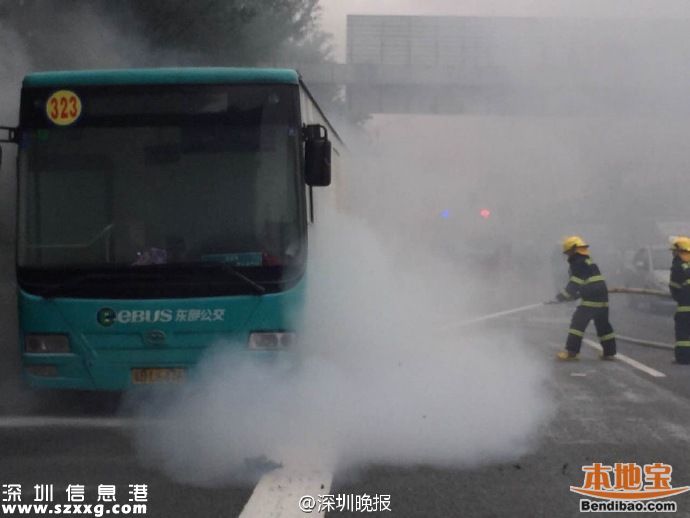 <a href=http://www.hnyueyi.com.cn/shenzhen/ target=_blank class=infotextkey>深圳</a>公交整治行動啟動 從三方面出重拳
