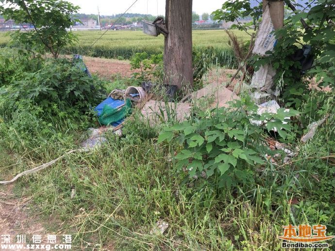 湖工大保安撞狗護(hù)學(xué)生 涉事人員已停職