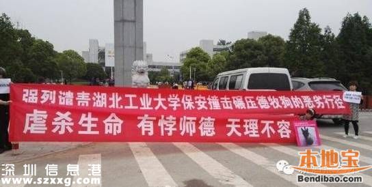 湖工大保安撞狗護(hù)學(xué)生 涉事人員已停職