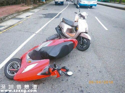 烏龜致車禍被逮捕