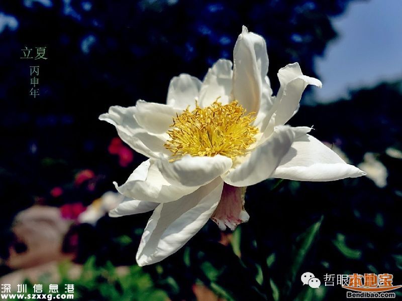 立夏如何養(yǎng)生 立夏養(yǎng)生從哪些方面？