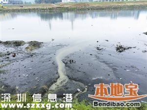 深圳8條河流水質(zhì)污染加重 飲用水源水質(zhì)100%達標(biāo)