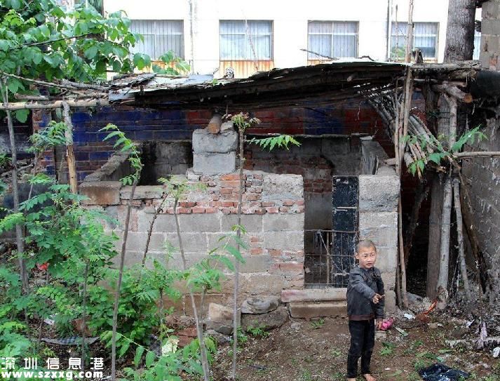 兄妹倆被拴豬圈邊 腦癱兄妹無錢治病好心塞(圖)