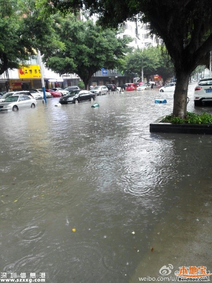 深圳降雨還將持續(xù)3小時 多路段被淹(圖)