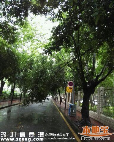 <a href=http://www.hnyueyi.com.cn/shenzhen/ target=_blank class=infotextkey>深圳</a>降雨還將持續(xù)3小時(shí) 多路段被淹(圖)