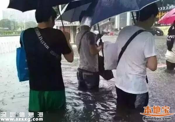深圳龍舟水預(yù)計在5月中下旬 什么是龍舟水？