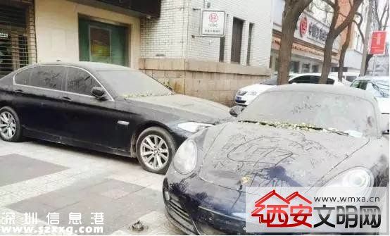 西安街頭保時(shí)捷堵寶馬一年 落滿灰塵放佛被封印一般