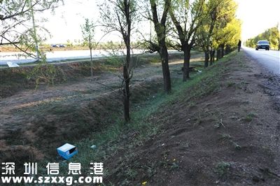 山西朔州市毛皂村，一名綁匪被擊斃在這棵小樹旁。