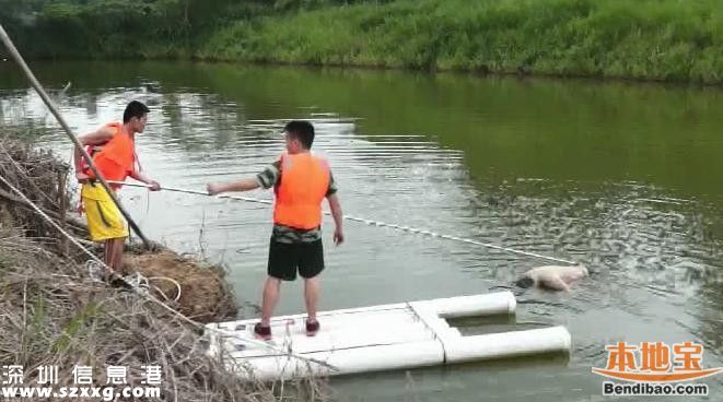 石巖釣魚場(chǎng)旁池塘驚現(xiàn)浮尸 上身半裸胳膊有淤青