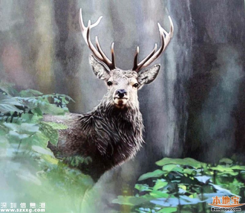 第十二屆文博會(huì)獎(jiǎng)項(xiàng)揭曉 深圳3件作品獲特別金獎(jiǎng)