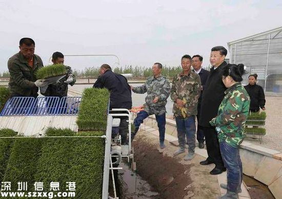 習(xí)近平登上中俄邊界黑瞎子島:保護(hù)生態(tài) 留一張白紙