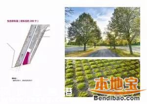 羅湖體育休閑公園月底建成 媲美紐約中央公園