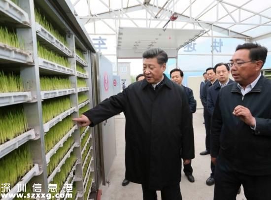 習(xí)近平登上黑瞎子島 看望赫哲族群眾