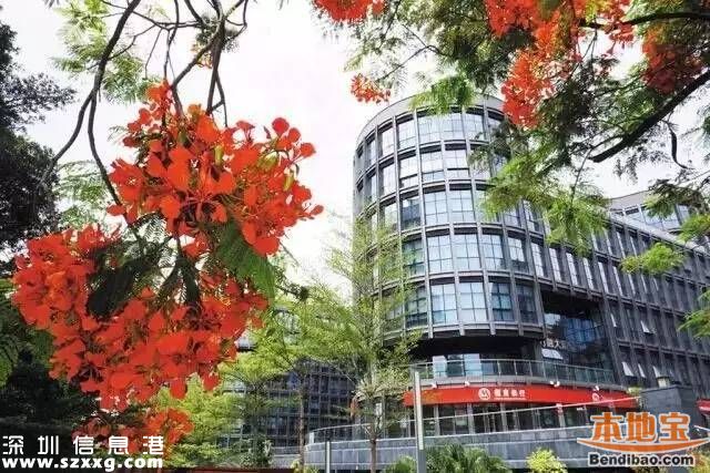 南山十三五規(guī)劃綱要發(fā)布 梳理南山發(fā)展十大亮點