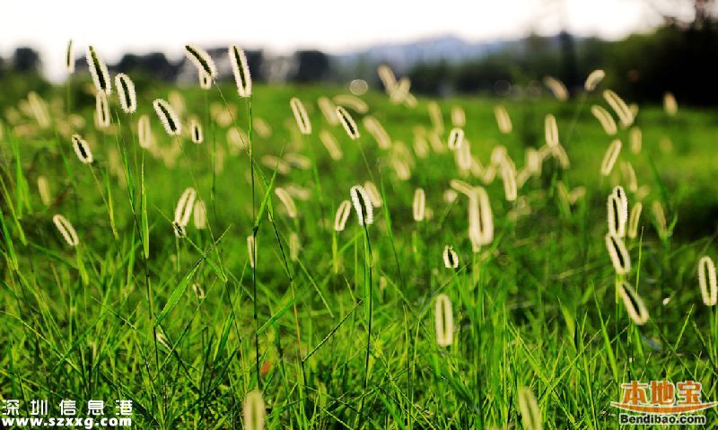 羅湖體育休閑公園門票價格(收費(fèi)情況)