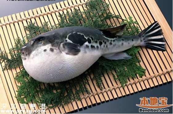 深圳一人食用河豚中毒身亡 什么樣的河豚是安全的？