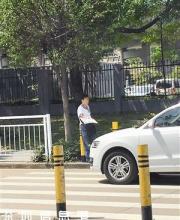西麗車管所一帶“黃?！睌_人 車管所整治行政拘留3人