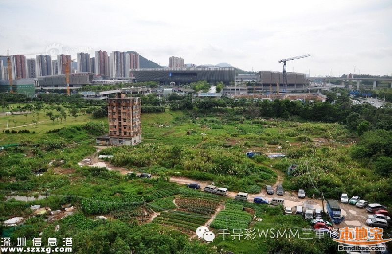 深圳最牛釘子戶是誰？為何拒2000萬補償？