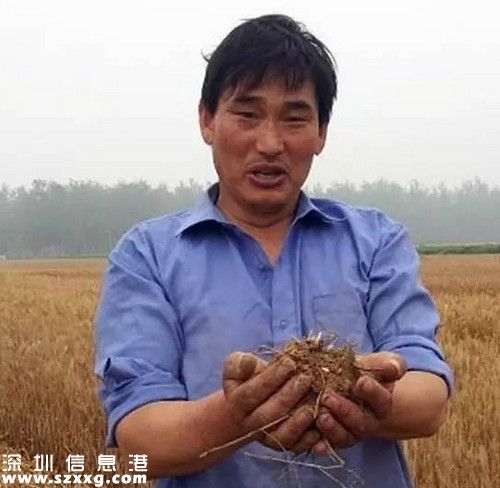 朱之文頂烈日干活