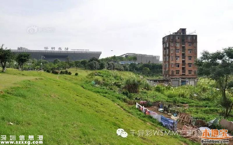 深圳最牛釘子戶是誰？為何拒2000萬補償？
