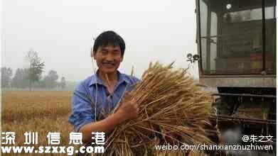 朱之文頂烈日干活 曾紅極一時的大衣哥今安在?。? style=