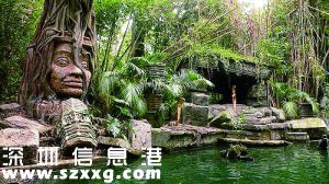 吳哥窟旁的熱帶雨林下發(fā)現(xiàn)完整的城市