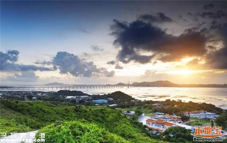 2020年南山發(fā)展成啥樣？GDP或達(dá)5500億