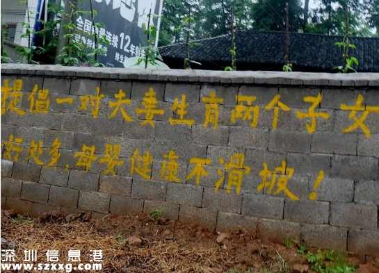 二胎手寫(xiě)標(biāo)語(yǔ)走紅 網(wǎng)友調(diào)侃：有點(diǎn)意思（組圖）