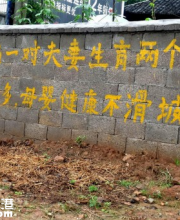 湖南現二胎宣傳手寫標語走紅網絡