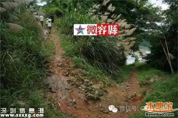 21年生15個(gè)小孩 窮到自己在家剪胎盤臍帶(圖)