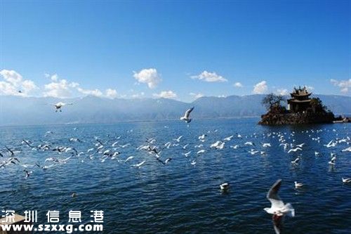 觀光車墜入洱海