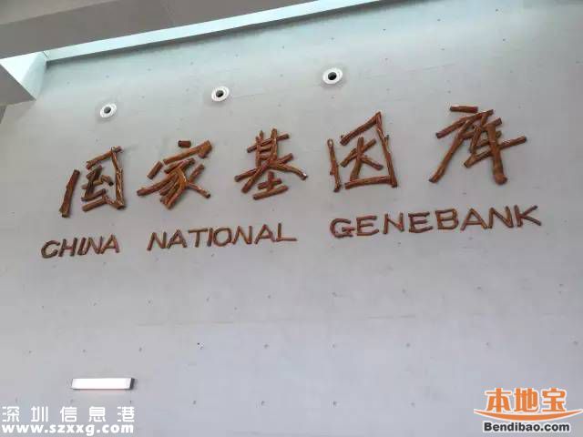 首座國家基因庫啟動試運行 位于大鵬新區(qū)