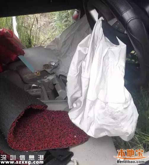 深圳不系安全帶最高罰500元 后排乘客未系罰司機