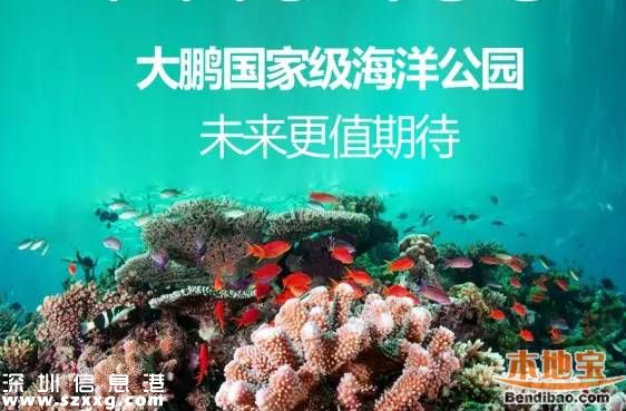 大鵬海洋公園年內(nèi)選址 海洋公園將分2大類
