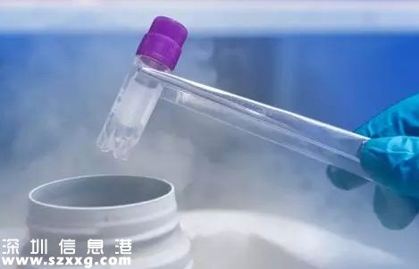 2歲女童冷凍卵子