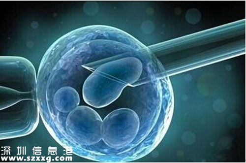 2歲女童冷凍卵子 成世界首位最年幼接受冷凍女性太罕見了