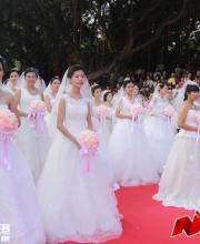2016南山集體婚禮開始報(bào)名 收費(fèi)標(biāo)準(zhǔn)僅999元