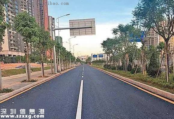 龍華交通治理組合拳 居民出行更方便啦！