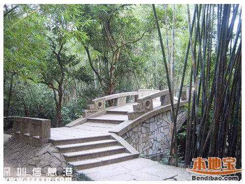 仙湖植物園門票能不能取消？