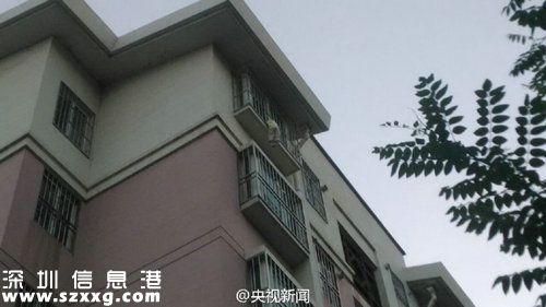 寧夏男孩被困半空