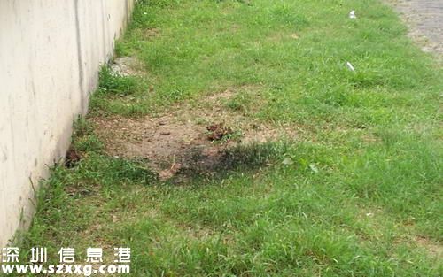 高壓線下釣魚被電：15歲男孩傷情嚴重 正在轉(zhuǎn)院就診