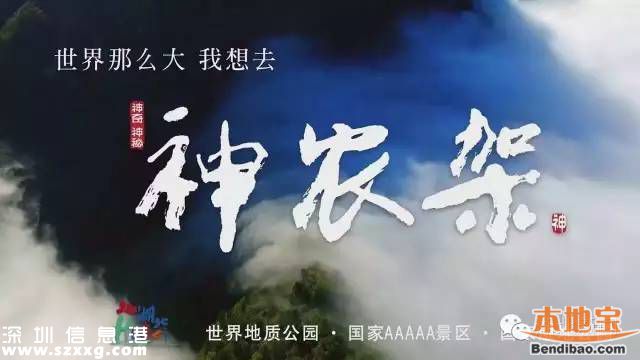 神農(nóng)架申遺成功 中國有哪些世界遺產(chǎn)項目？